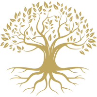 Erschaffe dein neues Leben in 90 Tagen